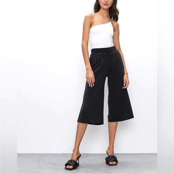 Aritzia Babaton Luiz Wide Leg Pant Medium NWT - Picture 2 of 9